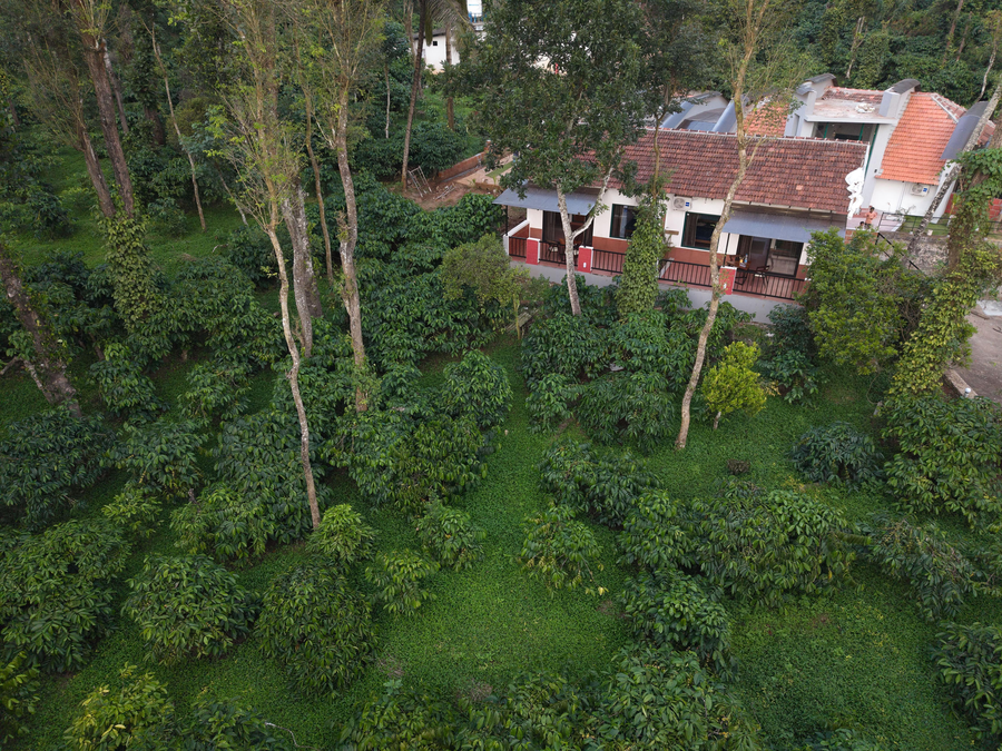 Notu By Raho: Secluded Villa With Estate View,7Vw6+Qh9, Koodugadde, Siddapura, Karnataka 571253,3 star