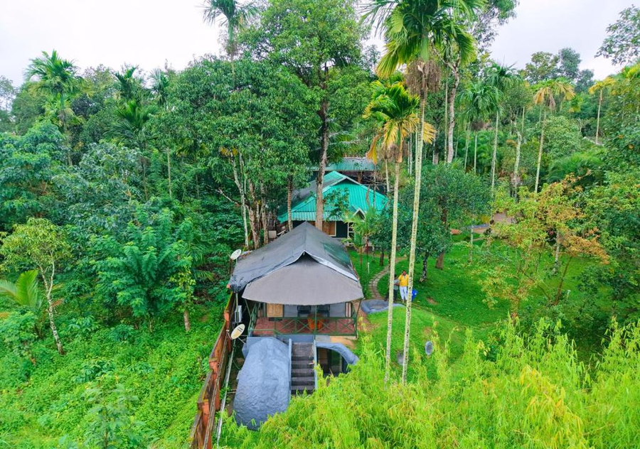 kedara village resort