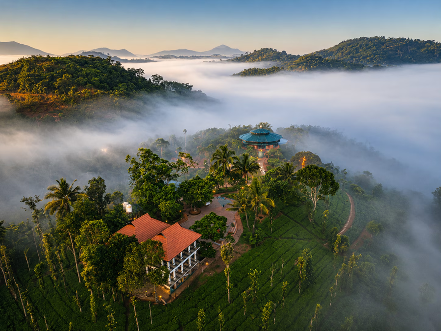 jungle edge resort