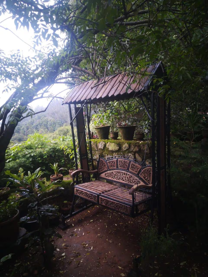 The Tamarillo,,3 star