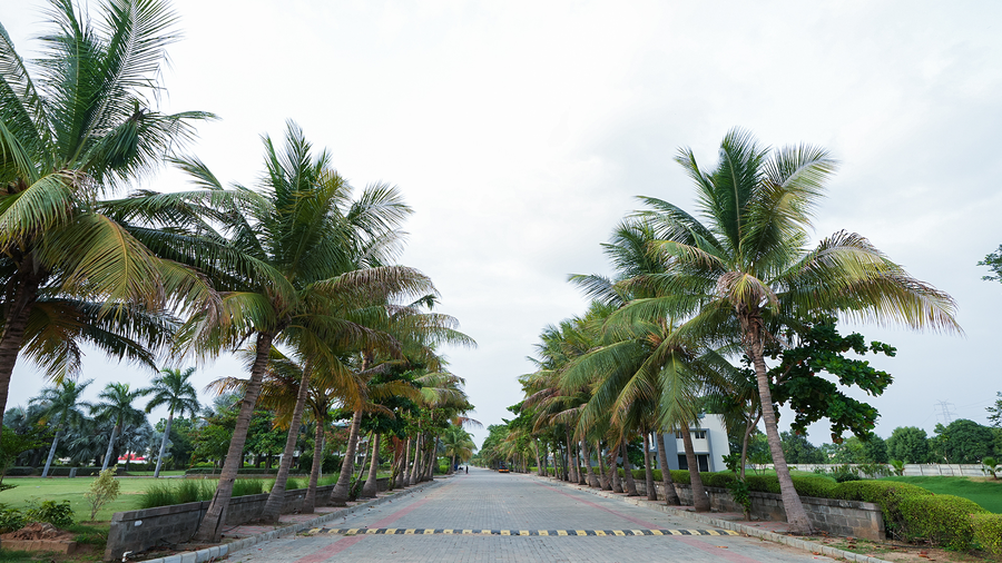 Malhaar Resort,Vatva,3 star