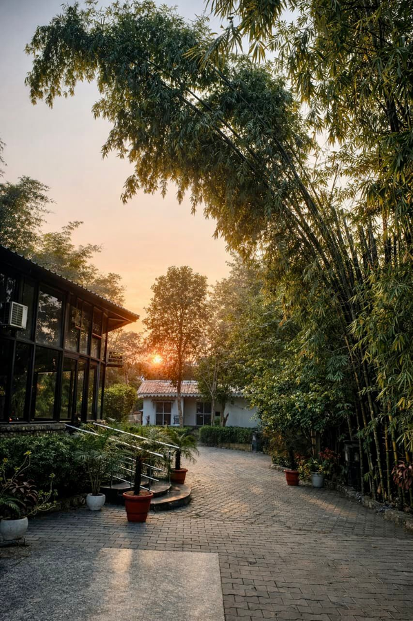 ashokas tiger trail resort
