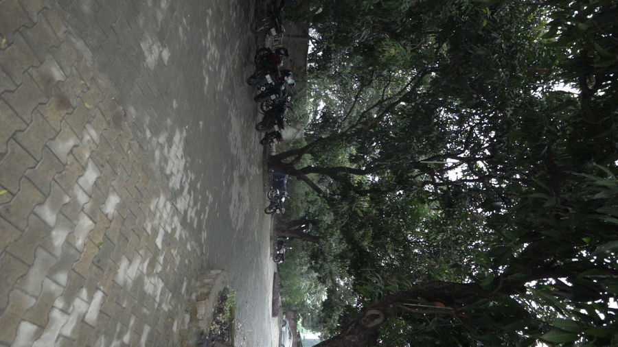 ashokas tiger trail resort