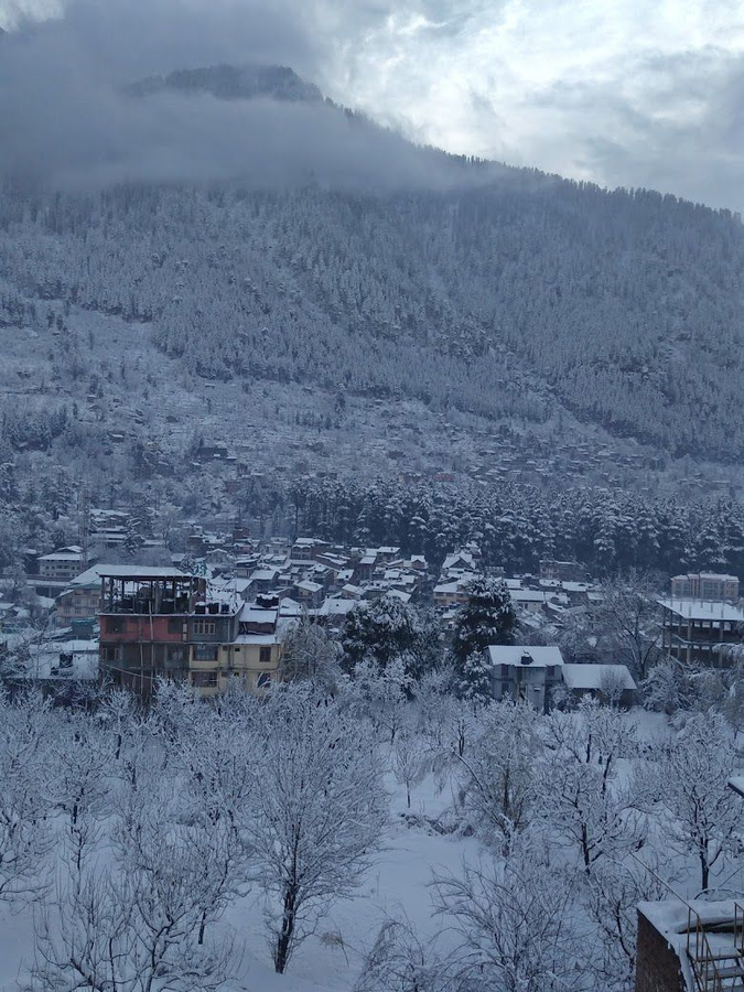 Hotel Devidyar,Old Manali,3 star