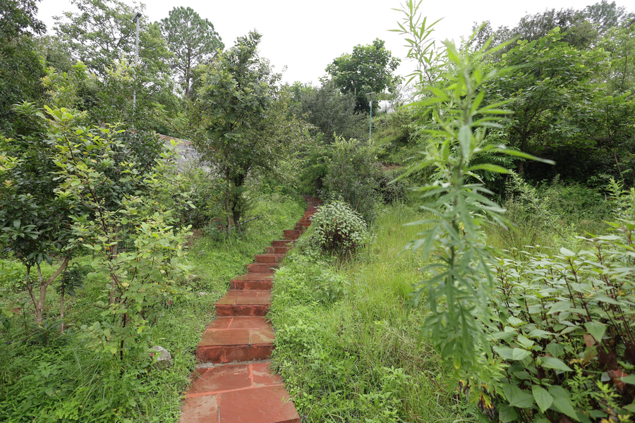 Tatva Hills Resort,,5 star