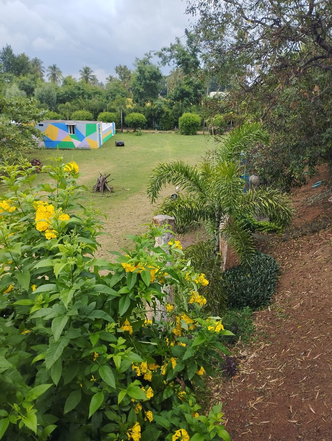 hampi blue moon resort