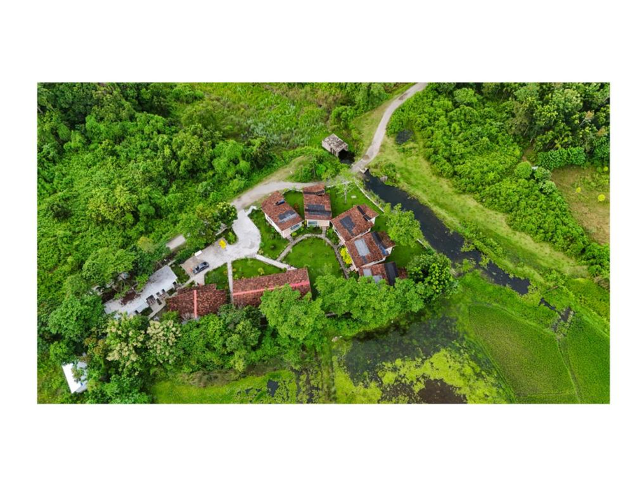 musafir jungle resort