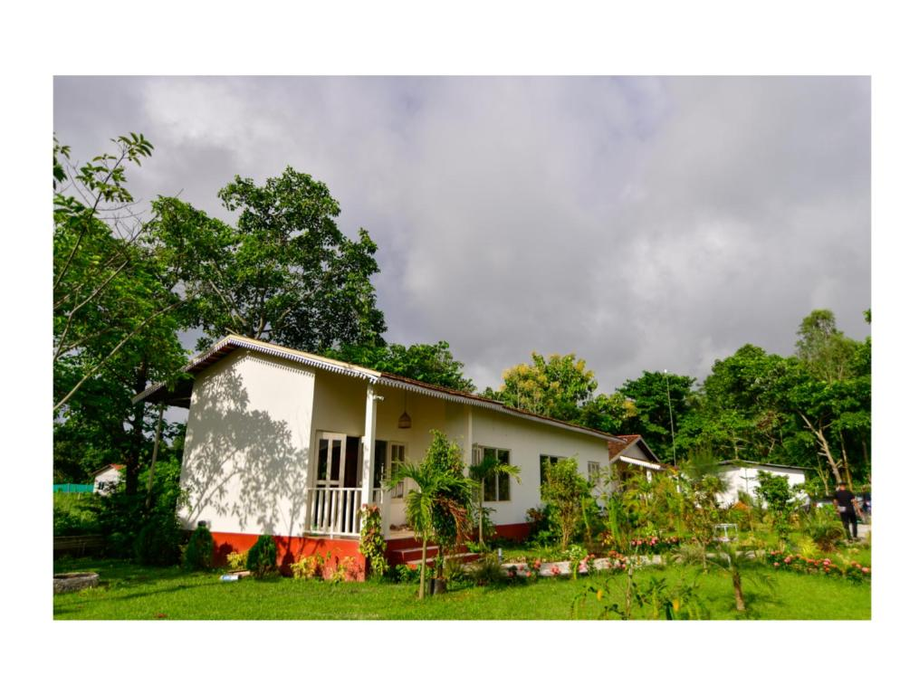 musafir jungle resort