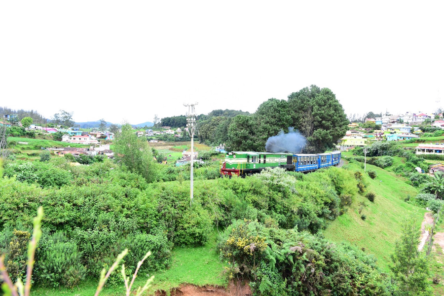 Brooklyn Villa,Fern Hill,3 star