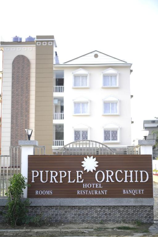 hotel purple orchid