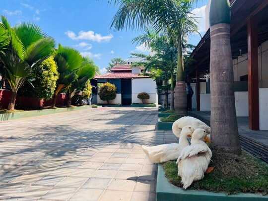 Hotel Kabab Junction,,3 star