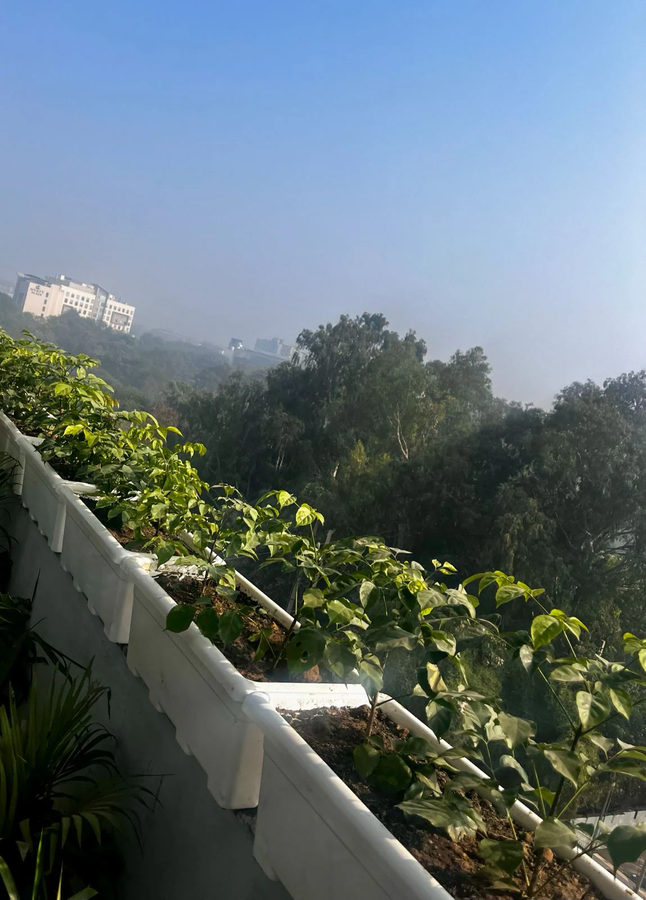 Maxx Elite,Udyog Vihar,3 star