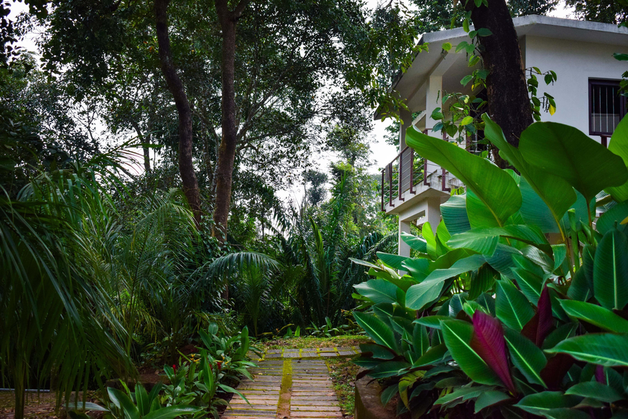 lionton resort by z vacations