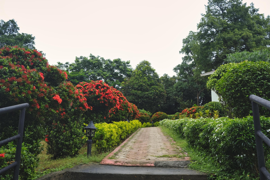hotel sonar bangla mukutmanipur