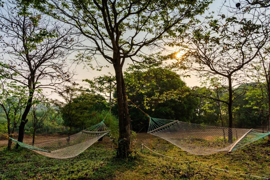 Avadale Dandeli (Stag Groups Not Allowed),,3 star