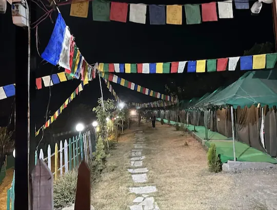 hills queen resort and camping