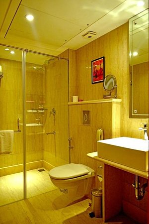 the theme hotel jaipur