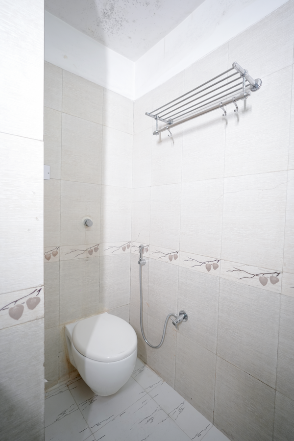 the altruist katra hotel