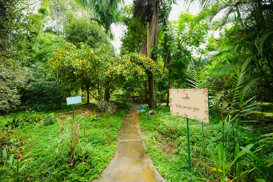 red earth kabini