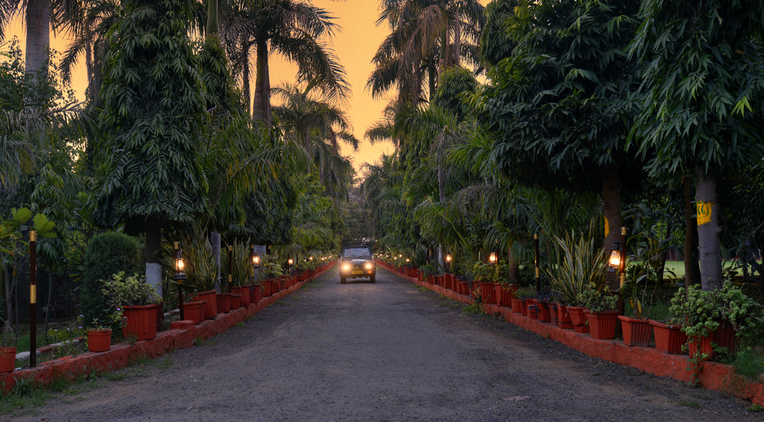 the aranya nature resort