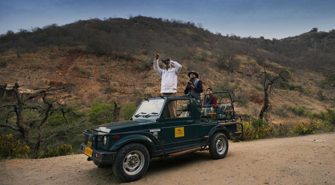 the aranya nature resort