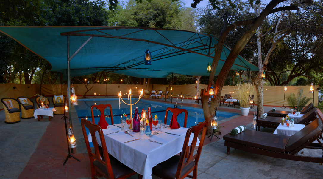 The Aranya Nature Resort,Ramsinghpura, Sawai Madhopur,4 star