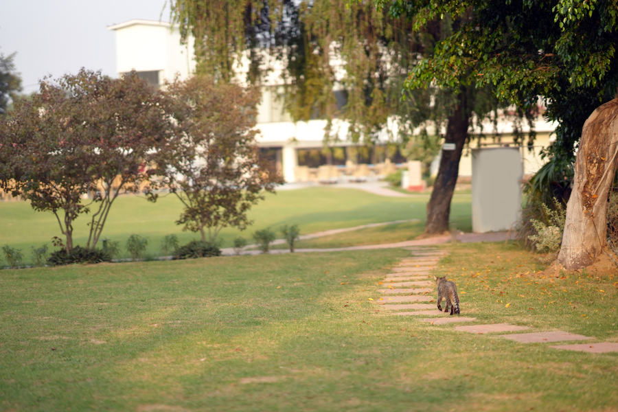 best western resort country club