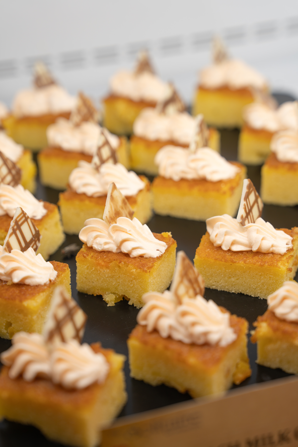 kohinoor continental airport newly renovated