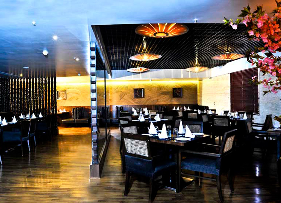 quality hotel dv manor