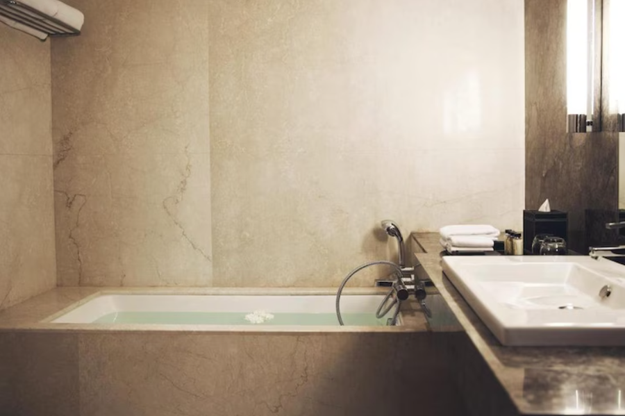the hans hotel new delhi