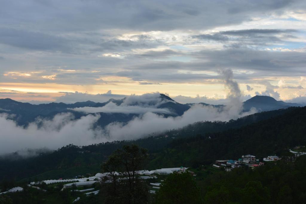 Ekant Retreat Resort Chail,Chail,3 star