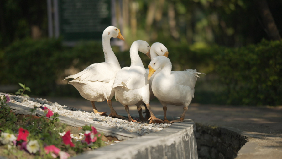 aacorn hideaway resort and spa