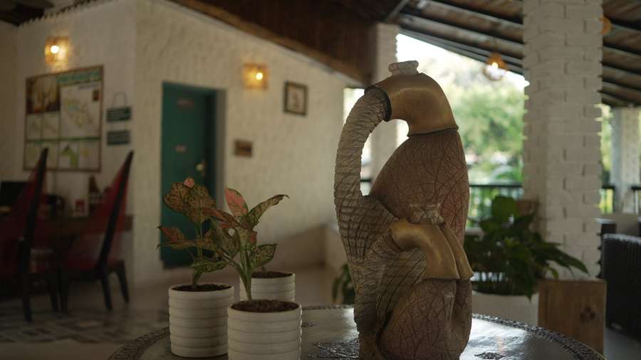 aacorn hideaway resort and spa