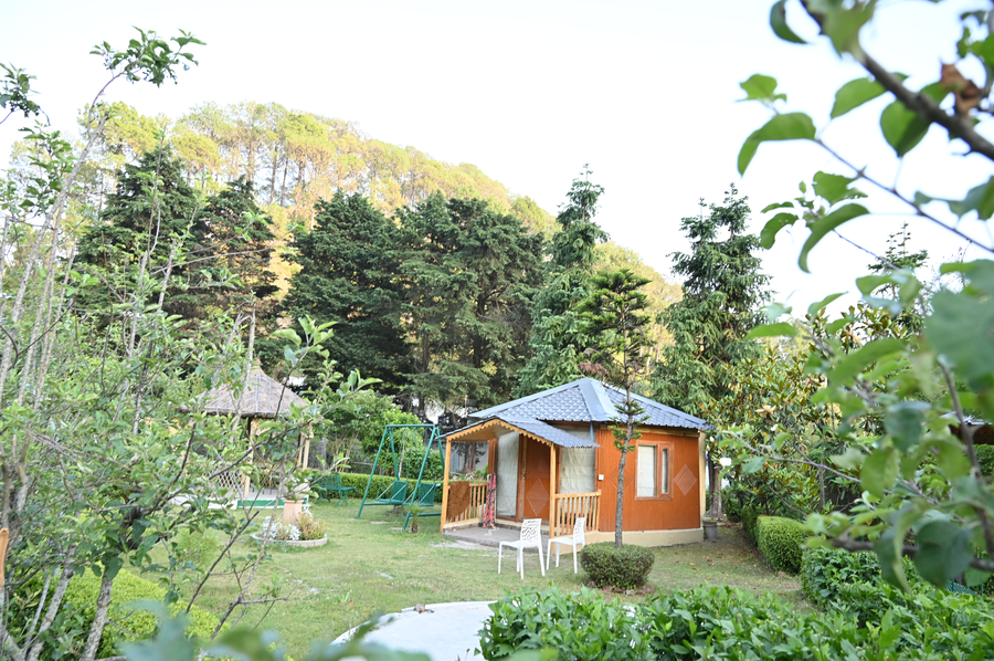 foxoso misty oaks resort near kainchi dham 8 kms