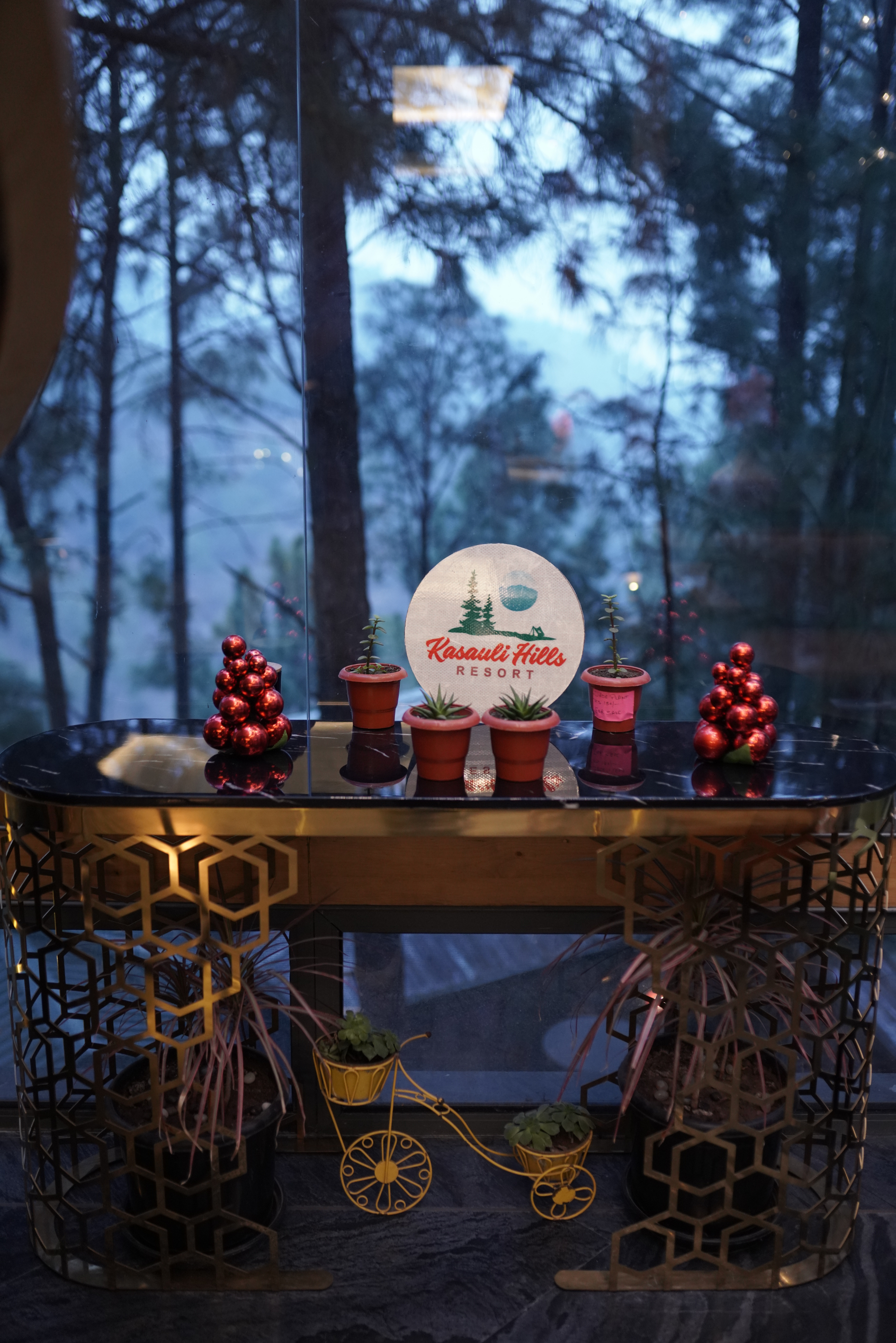 kasauli hills resort