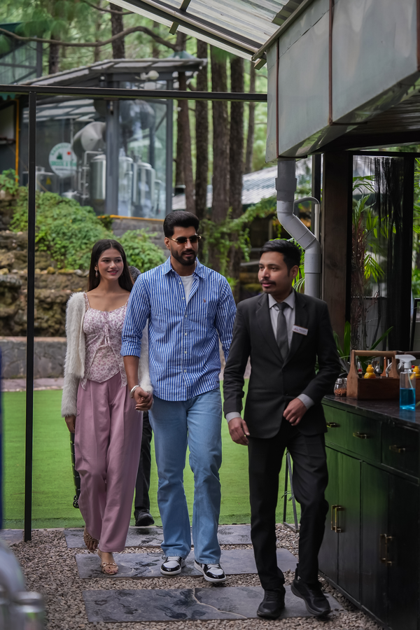 kasauli hills resort