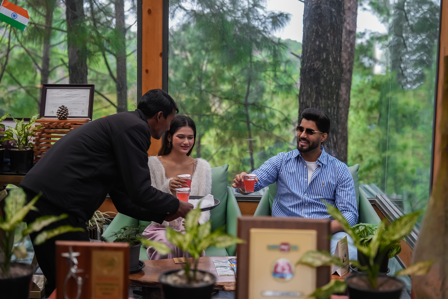 kasauli hills resort