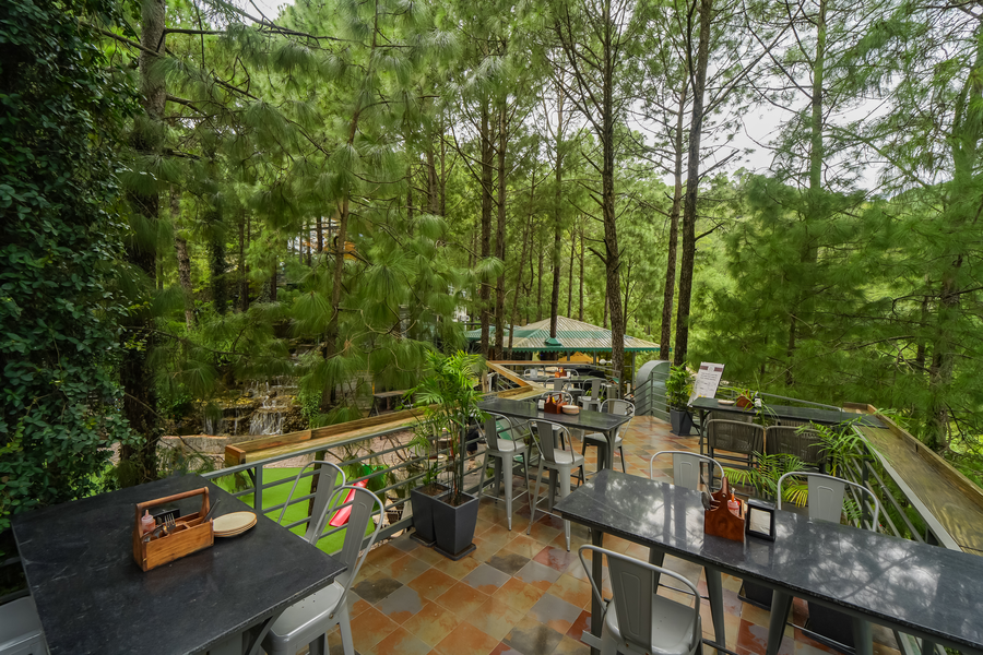 kasauli hills resort