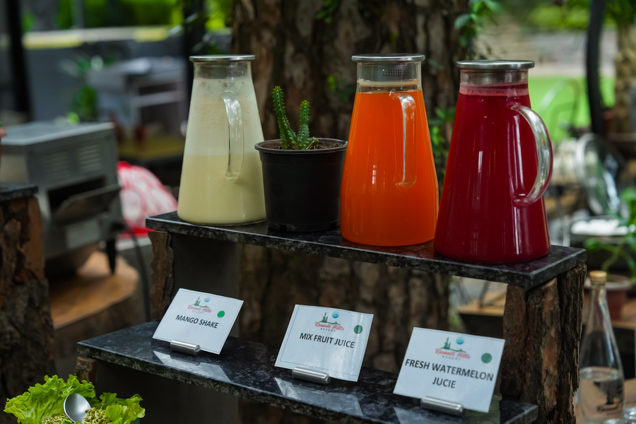 kasauli hills resort