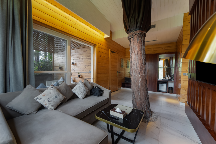 kasauli hills resort