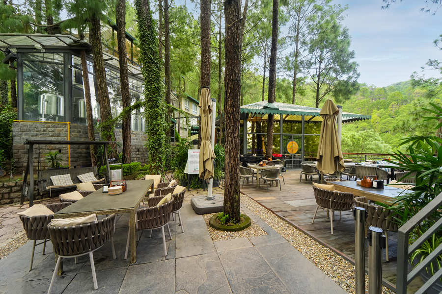 kasauli hills resort