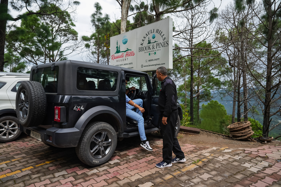 kasauli hills resort