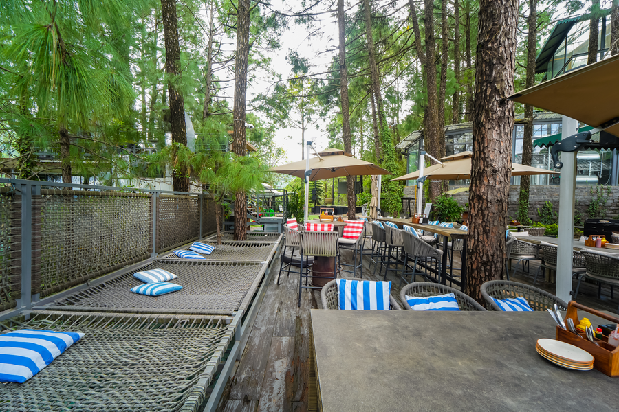 kasauli hills resort