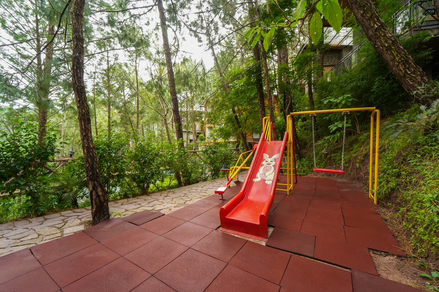 kasauli hills resort