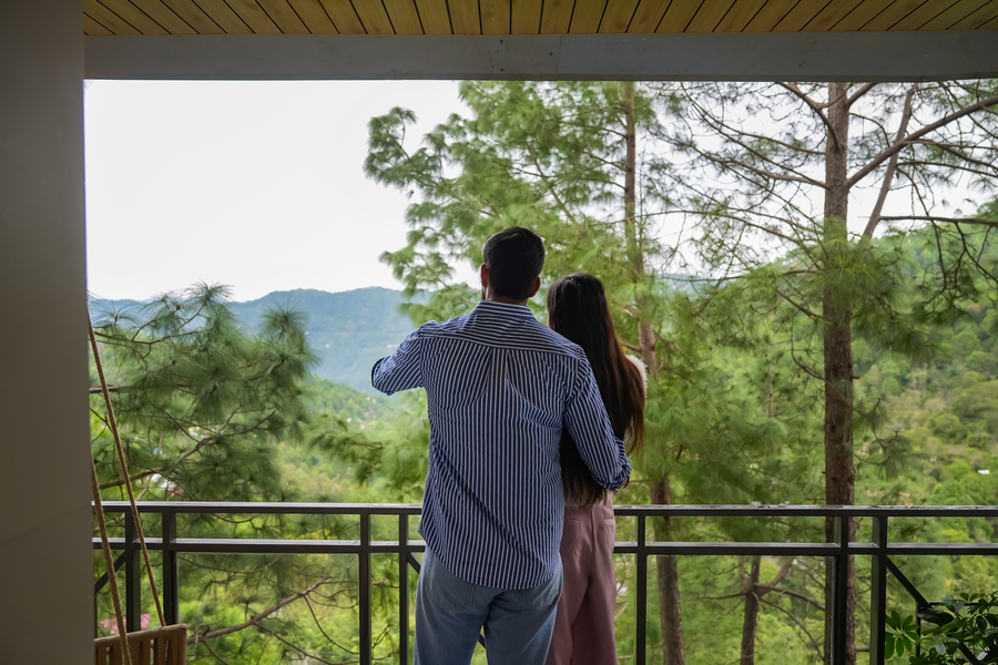 kasauli hills resort