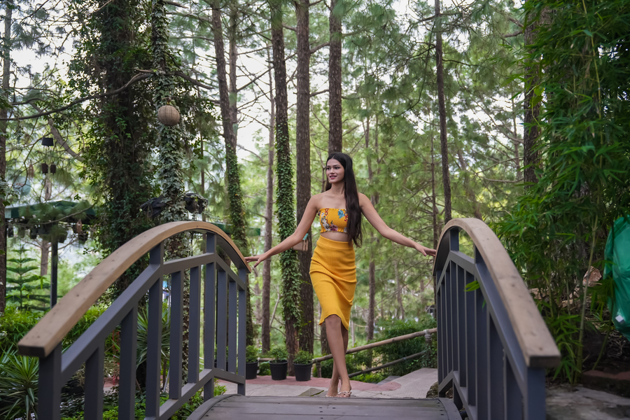 kasauli hills resort