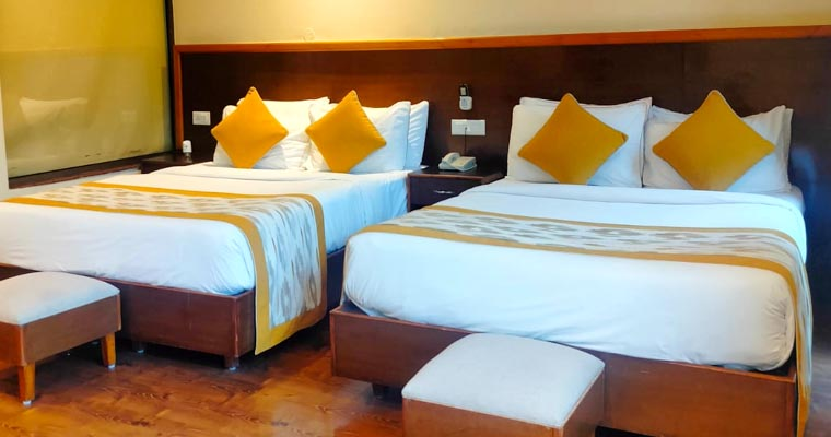 divine resort and spa rishikesh