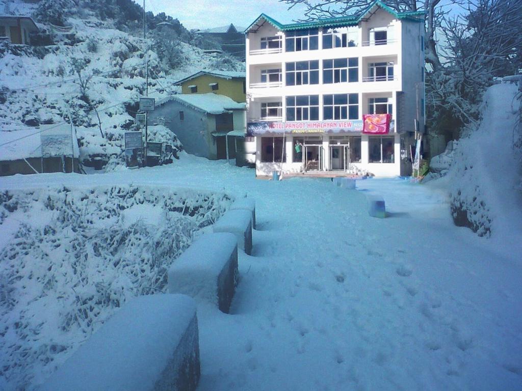 Pangot Himalayan View