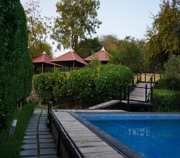 hotel vedic vista udaipur 4 km from lake pichola