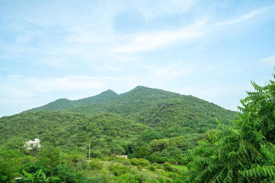 hotel vedic vista udaipur 4 km from lake pichola